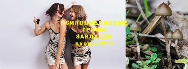 синтетический гашиш Алексин