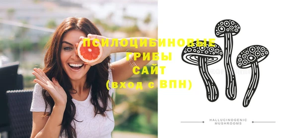 молекула духа Березники