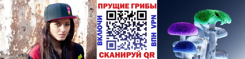 Галлюциногенные грибы Psilocybine cubensis  Ишим 